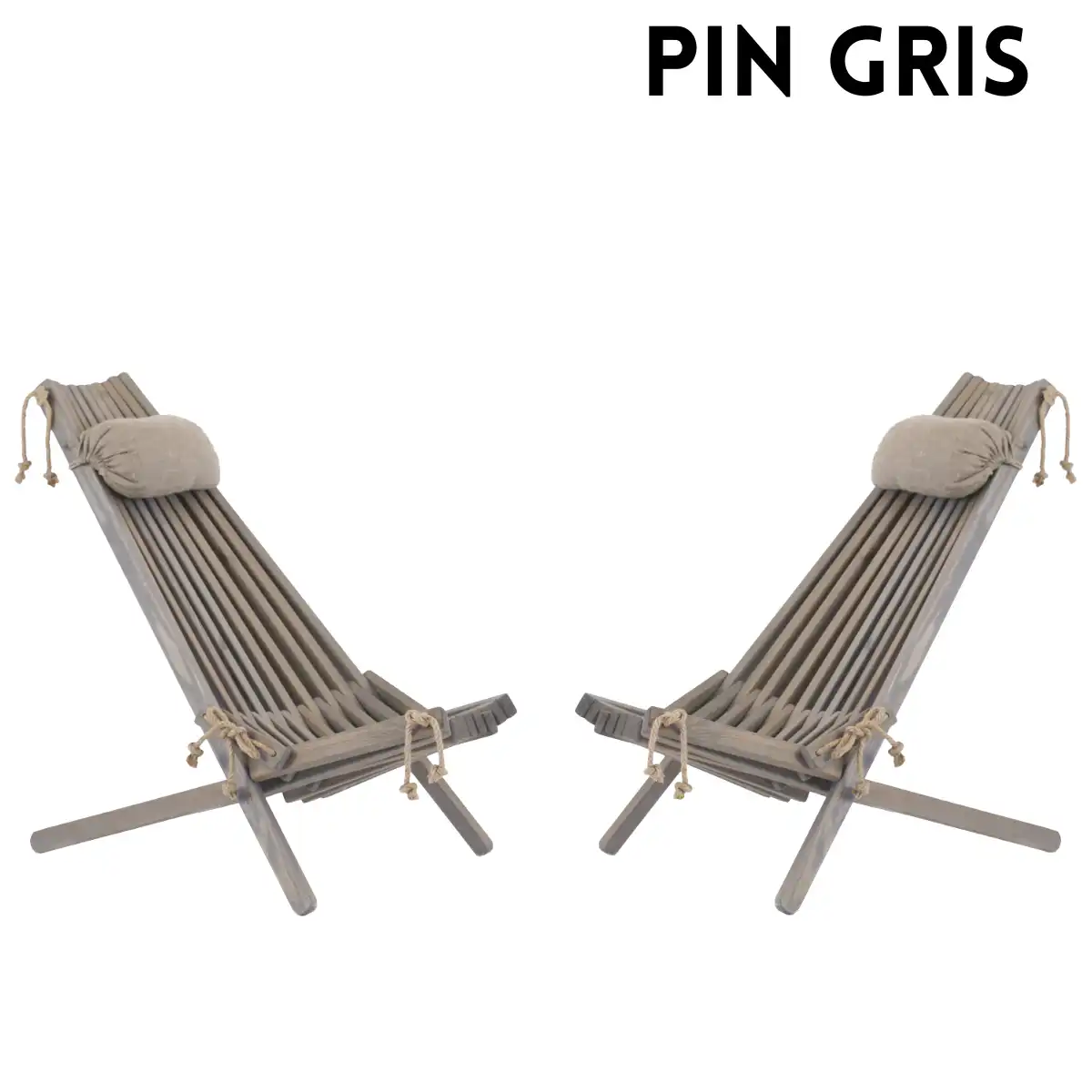 Ensemble 2 chaises et 2 coussins