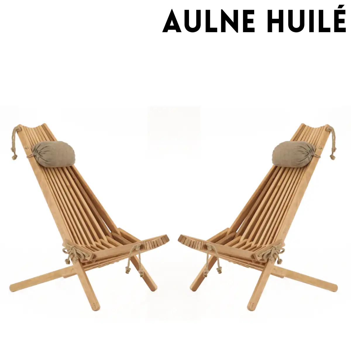 Ensemble 2 chaises et 2 coussins